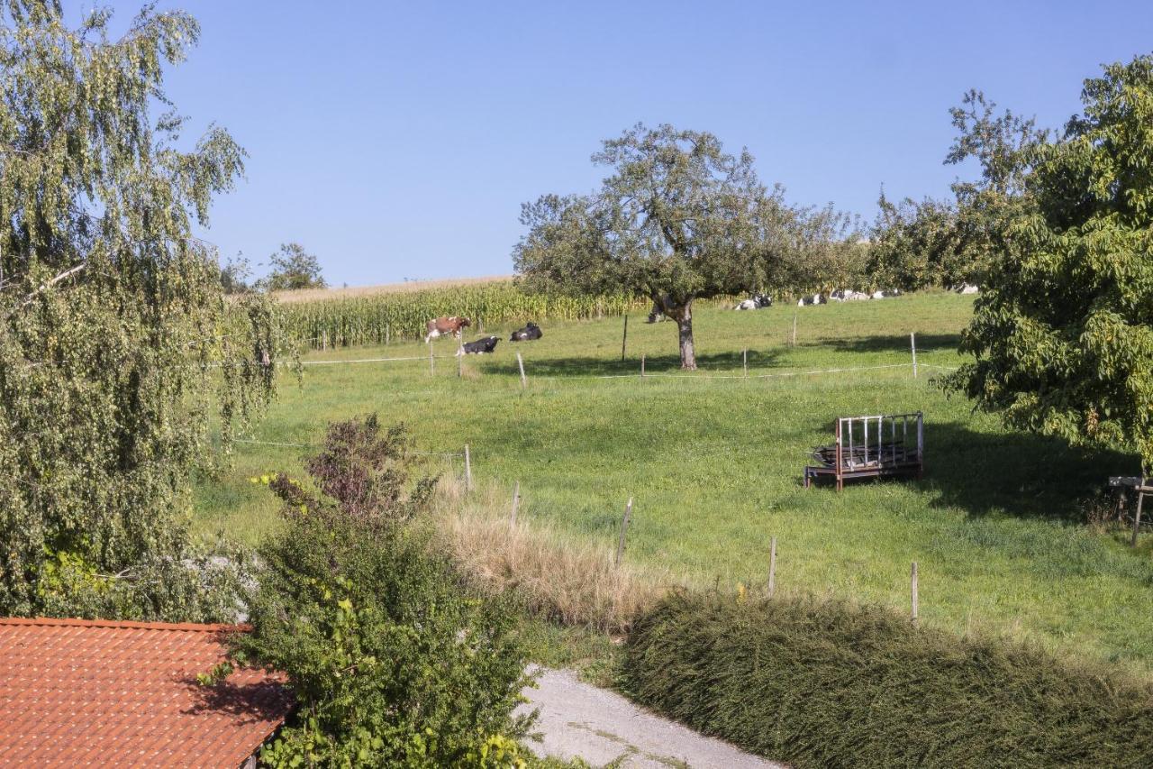 Apartment Landzeit Neukirch  Dış mekan fotoğraf