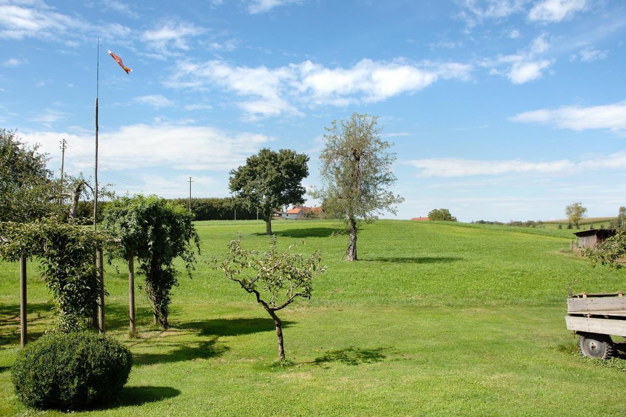 Apartment Landzeit Neukirch  Dış mekan fotoğraf